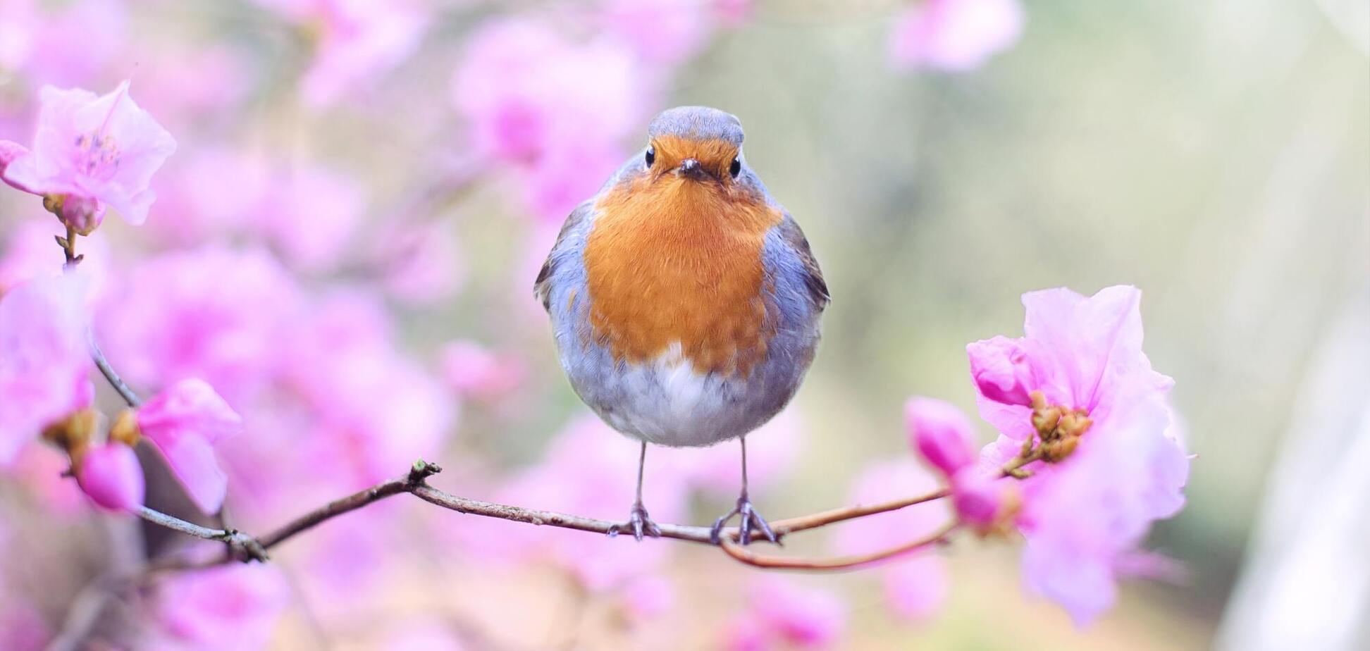 22 апреля: праздники, приметы на Вадима Ключника и именинники