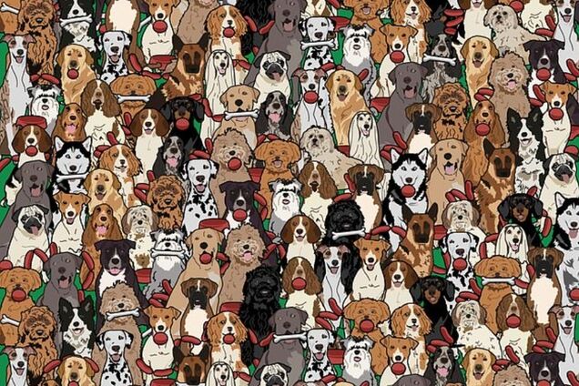 Найди собаку с колбасой: замысловатая головоломка сломала мозг пользователям сети