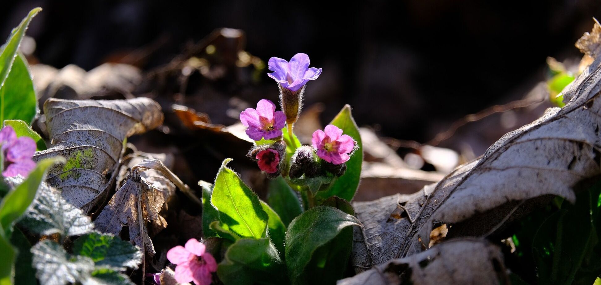 26 квітня: свята, що не можна робити, прикмети і іменинники