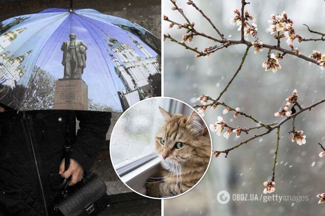 Прогноз погоды