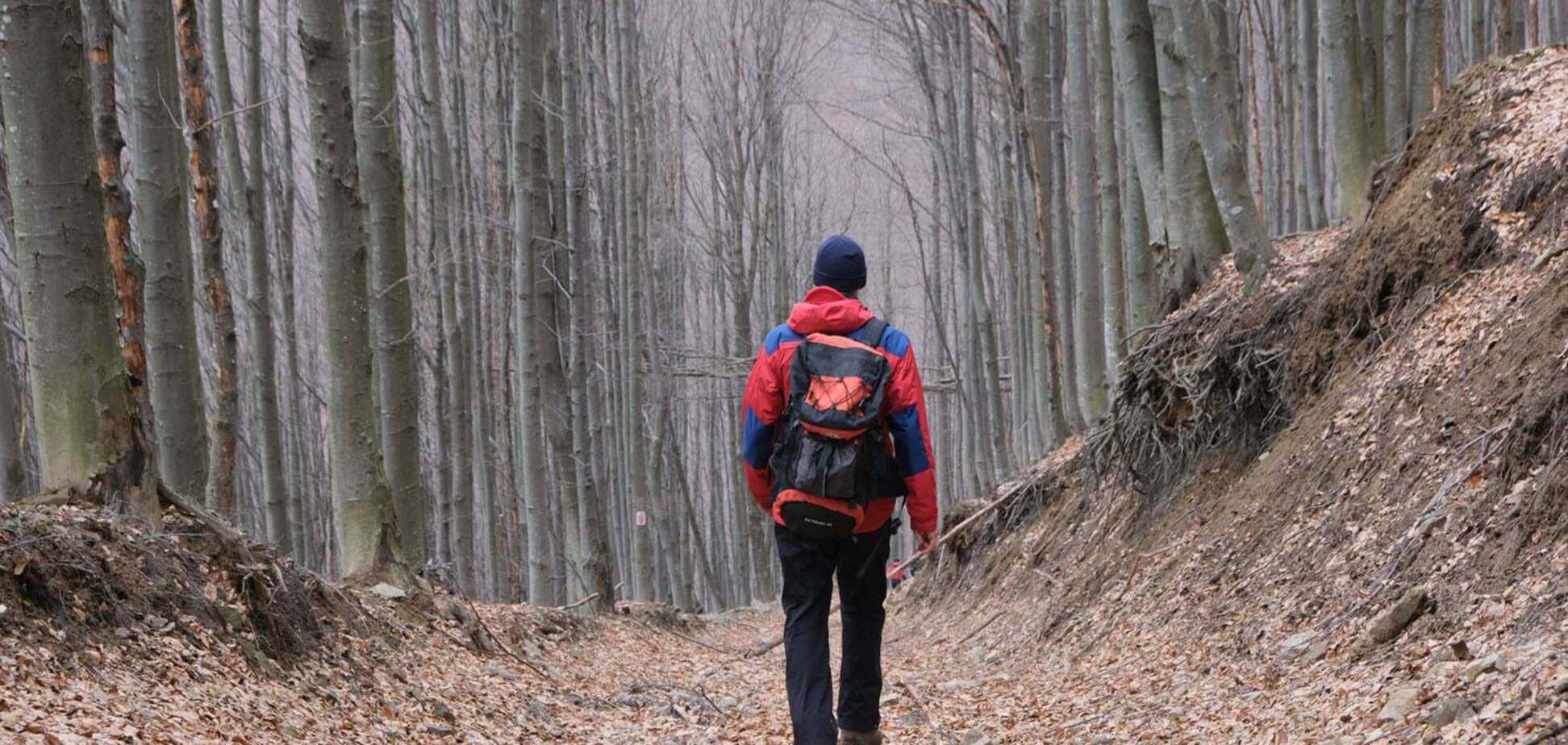 В Карпатах продолжили поиски пропавшего еще в феврале туриста. Фото