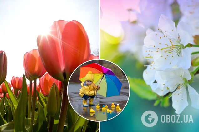 Когда в Украину придет настоящее лето: синоптик назвал дату