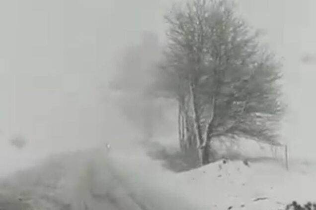 У кінці квітня Київщину накрили потужні снігопади. Фото