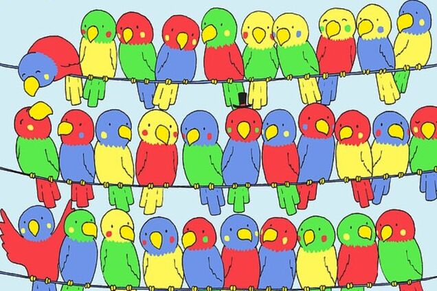 Найди одинокого папугая: в сети озадачены новой головоломкой