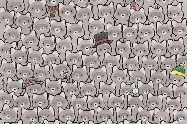 Найди кота! Новая головоломка озадачила сеть