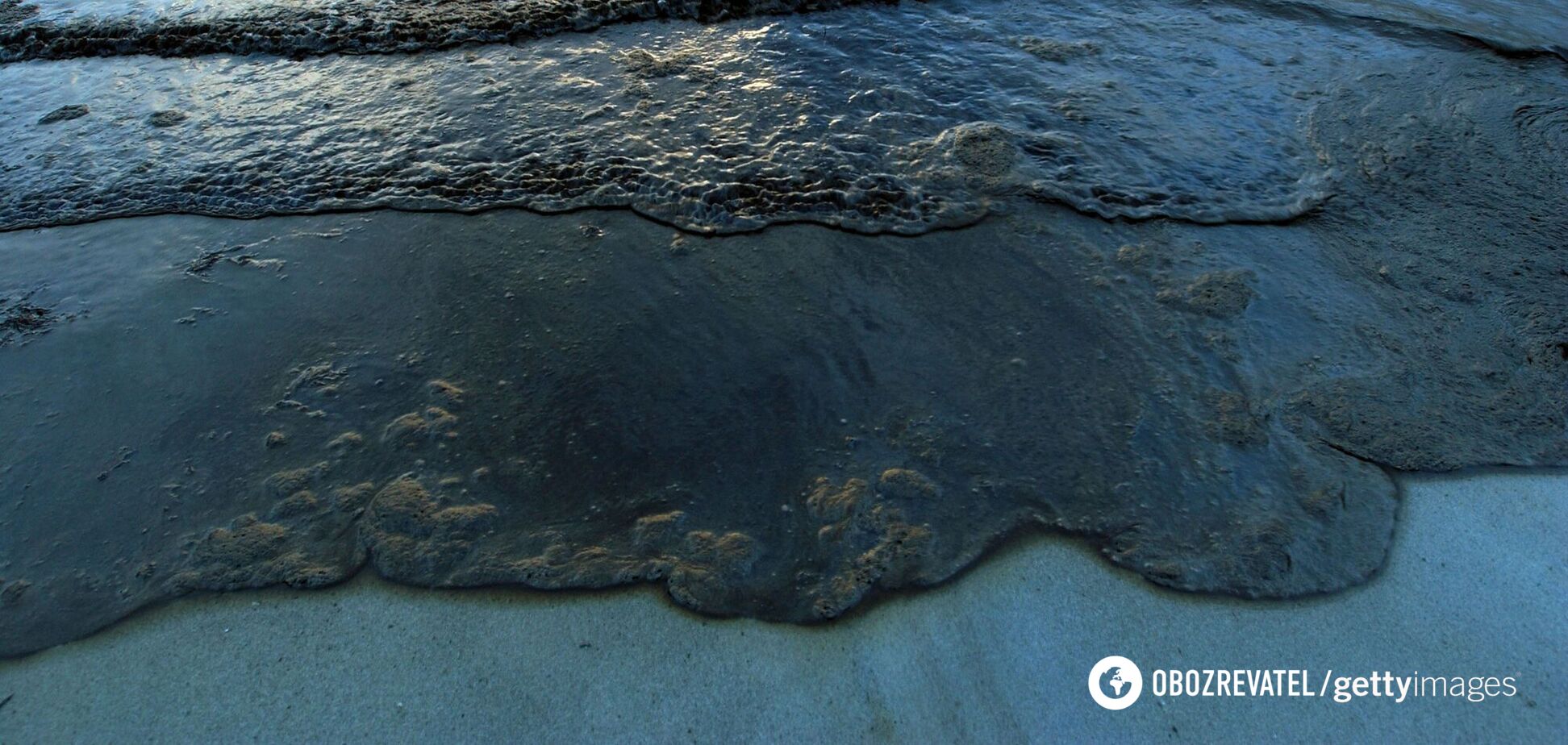 Биологи нашли новый вид морских существ. Фото