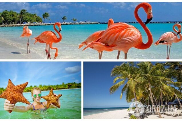 Отпуск в Доминикане: как бюджетно отдохнуть на звездном курорте