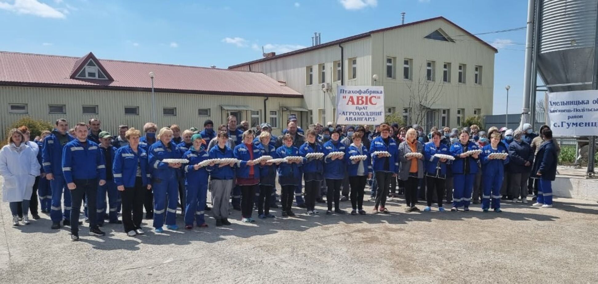 'Укрлендфармінг' розпочав випуск 1 млрд яєць з написом 'Ситника геть'