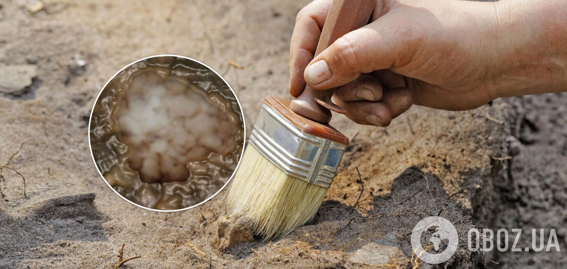 Окаменелось возрастом в миллиард лет поставила под сомнение теорию о зарождении жизни. Фото