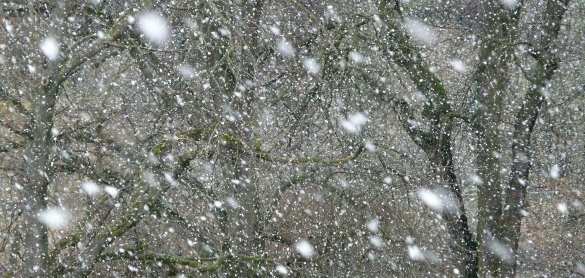 До України йде сніг, мороз та сильні дощі