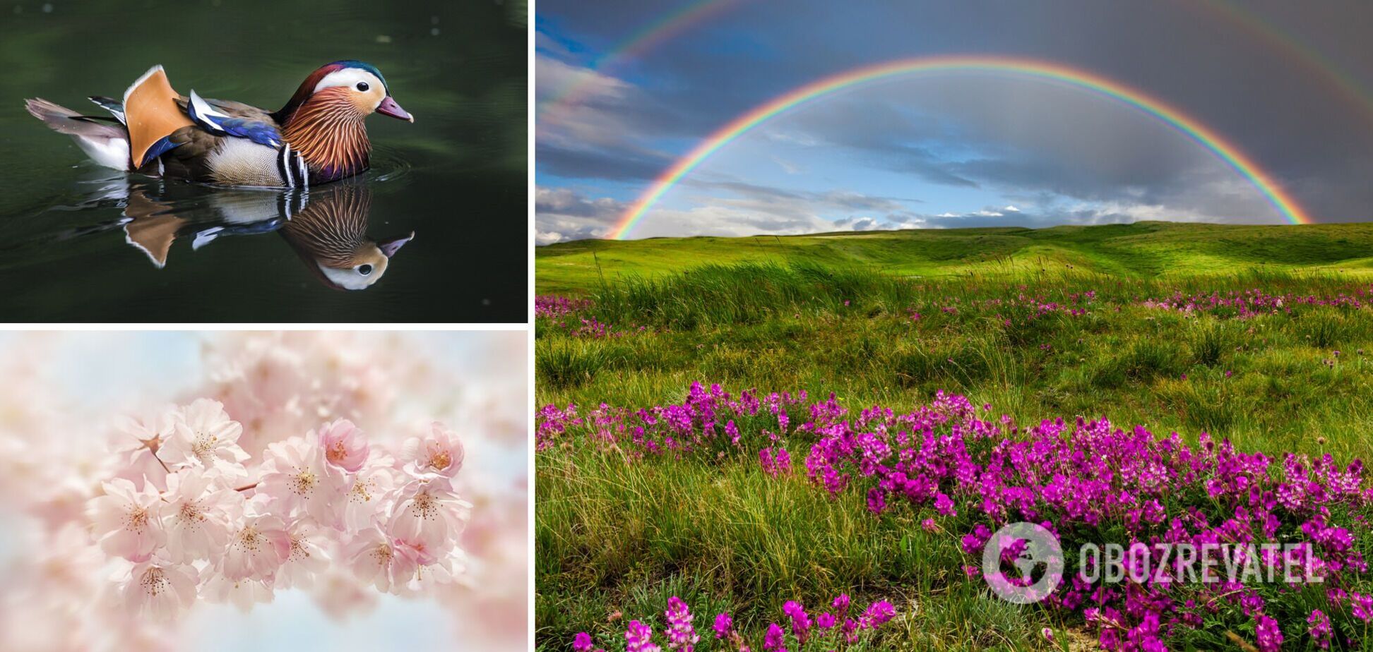 В Україну йде тепло і весняні грози: синоптикиня уточнила прогноз погоди на травень