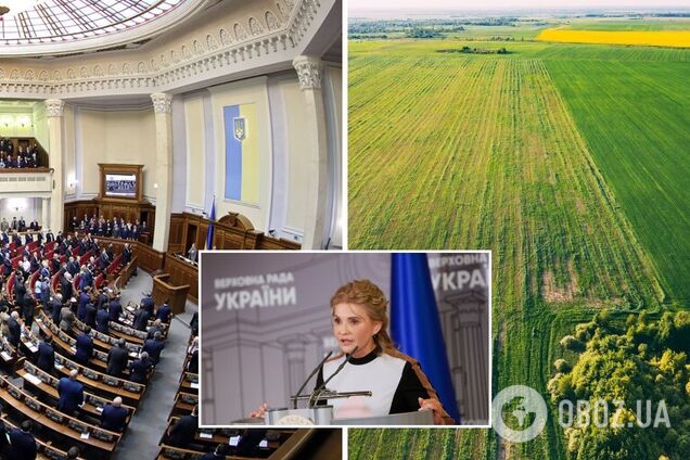  Референдум, який організовують українці за підтримки партії 'Батьківщина', є можливістю вплинути на владу