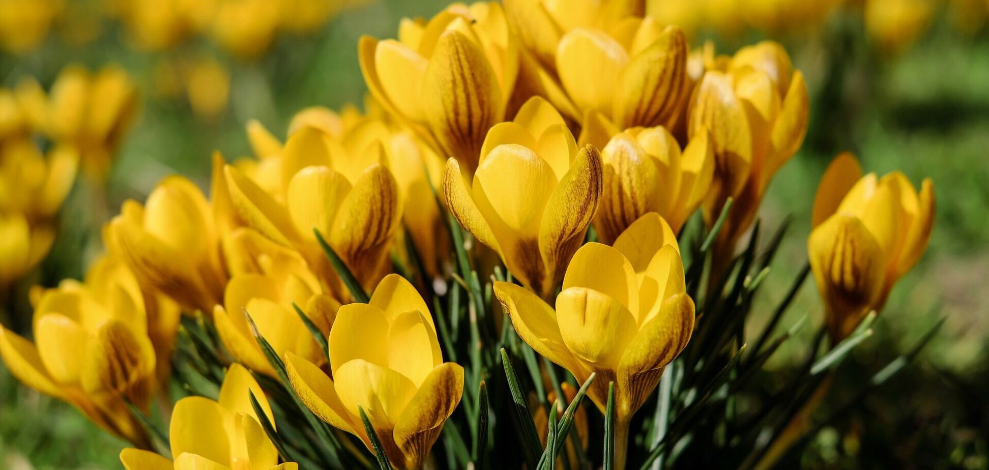 6 апреля: праздники, приметы и именинники