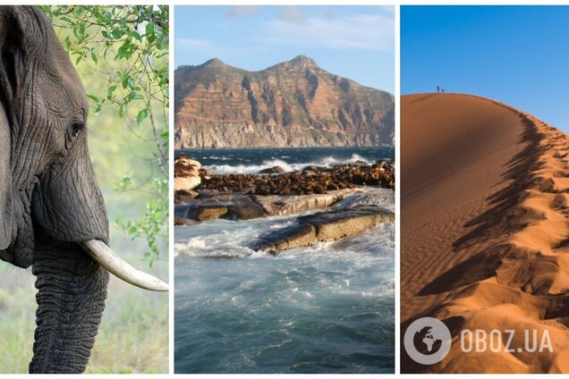 Поїздка в Африку: 5 головних порад туристам