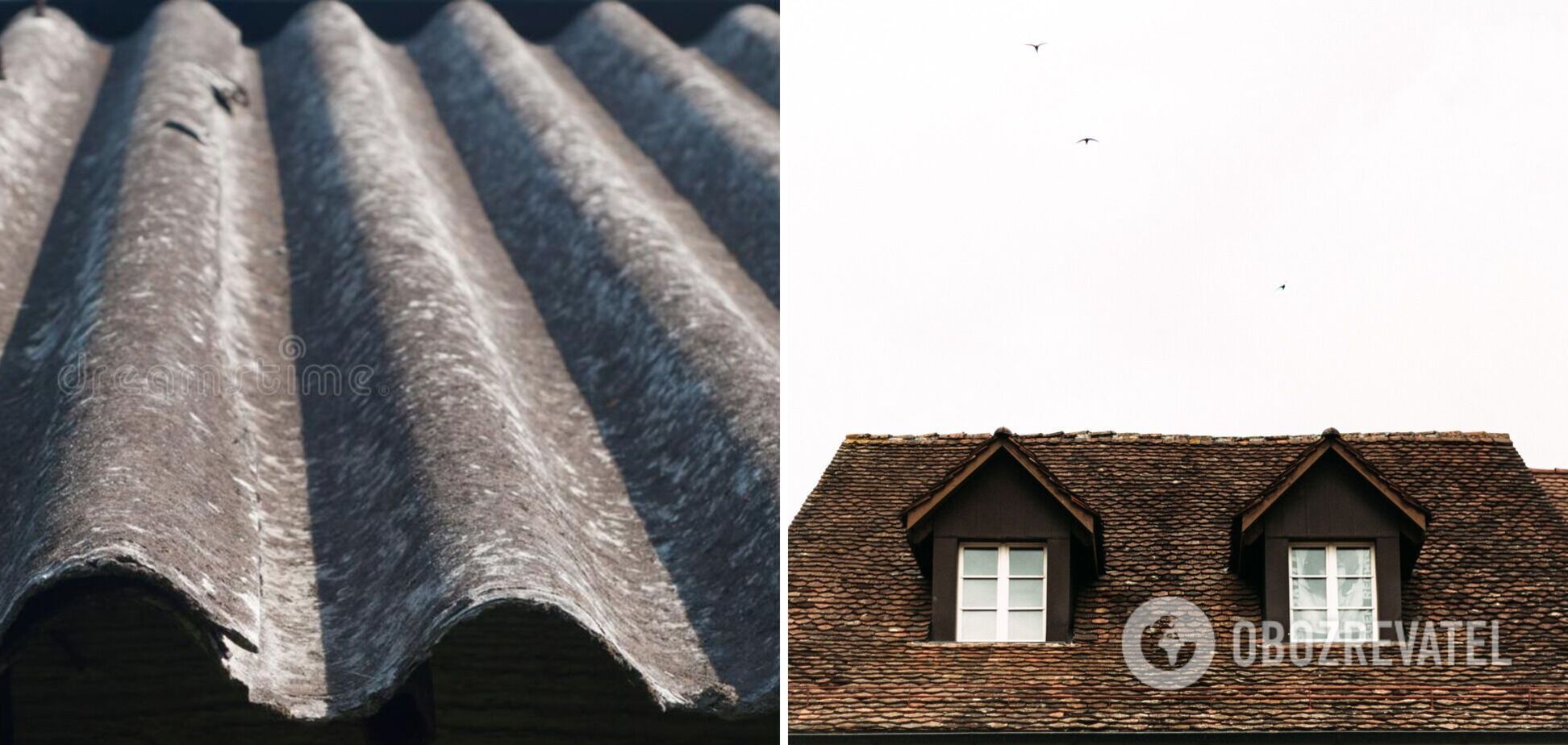 Дахи будинків