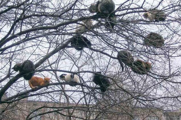 Удобное место для отдыха.