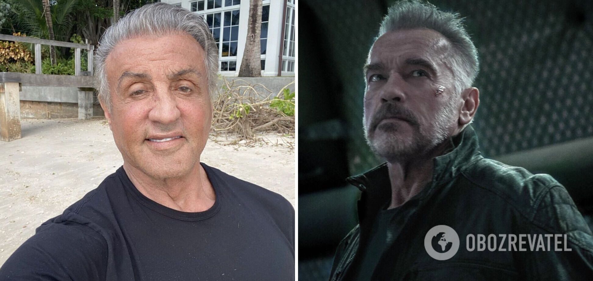 Як виглядали Сталлоне і Шварцнеггер в юності і зараз