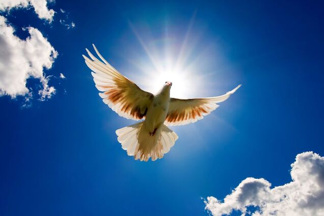 Приметы и праздники 8 апреля