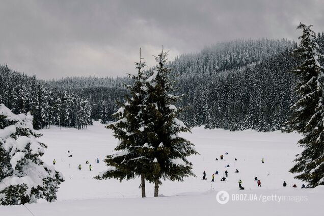 Синоптики предупредили о сходе лавин в Карпатах. Карта
