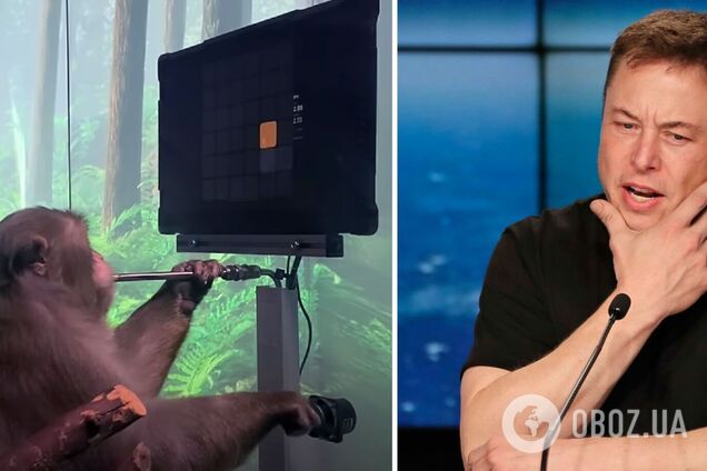 Компанія Ілона Маска показала, як мавпа грає у відеогру 'силою думки'