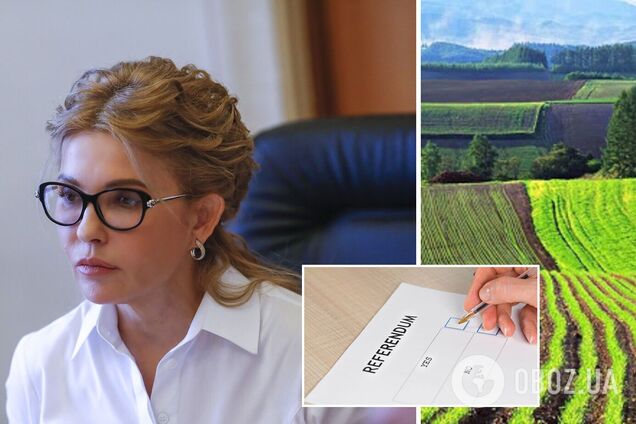 Команда 'Батьківщини' открыла горячую линию по референдуму о земле