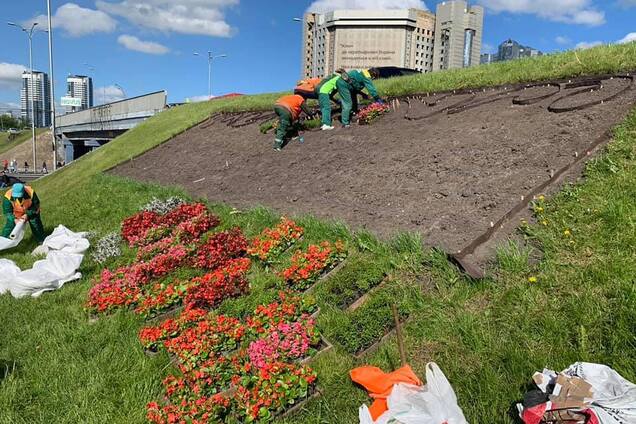 В Киеве создают мегаклумбу к 30-летию Независимости