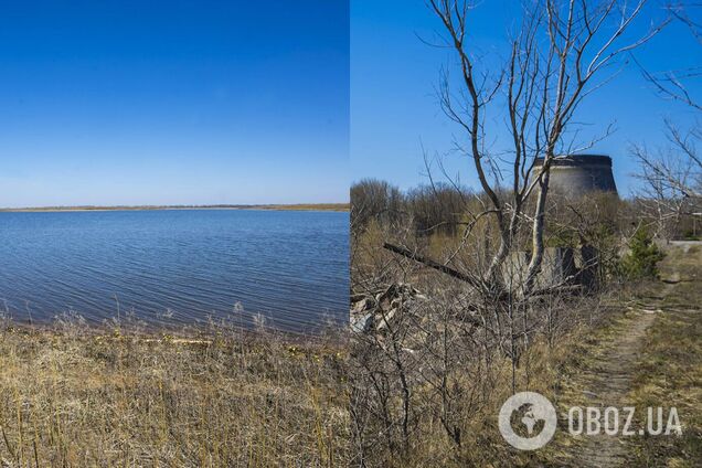 Вода в пруде отступила на десятки и сотни метров от прежней береговой линии
