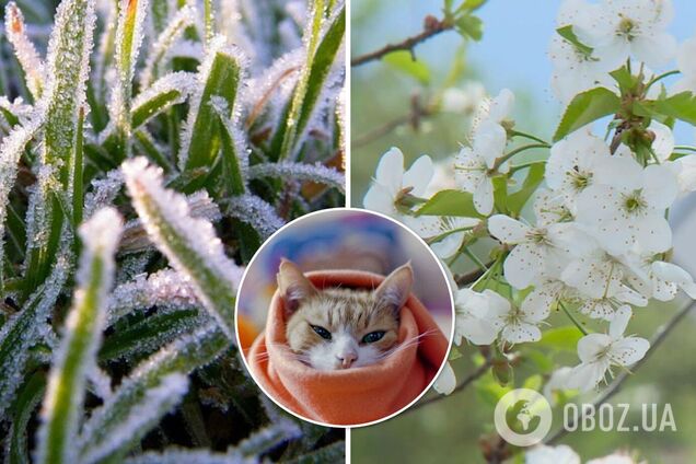 Наприкінці травня в Україну можуть прийти заморозки й похолодання: як зміниться погода