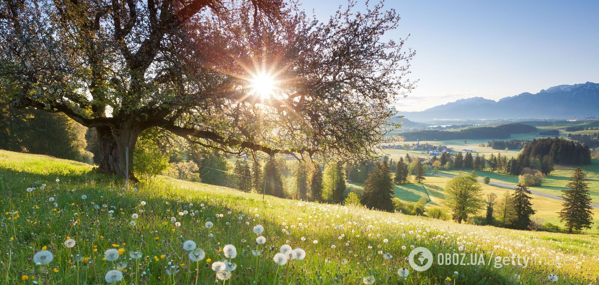 Погода с 17 мая в Украине будет прохладной