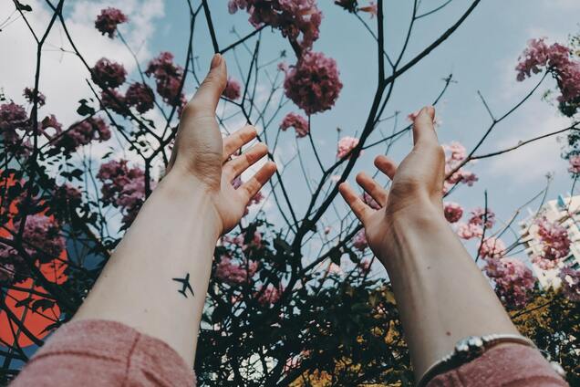 17 травня: свято, прикмети на Пелагею Заступницю і іменинники