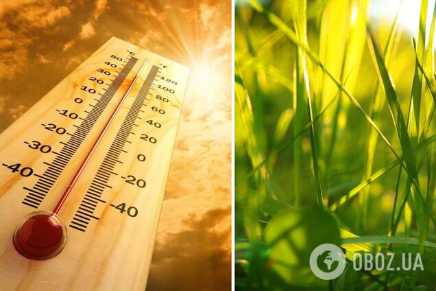 Когда в Украине начнется настоящее лето: синоптик назвала дату
