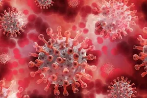 Иммунитет на COVID-19 после вакцины и после болезни: в чем разница