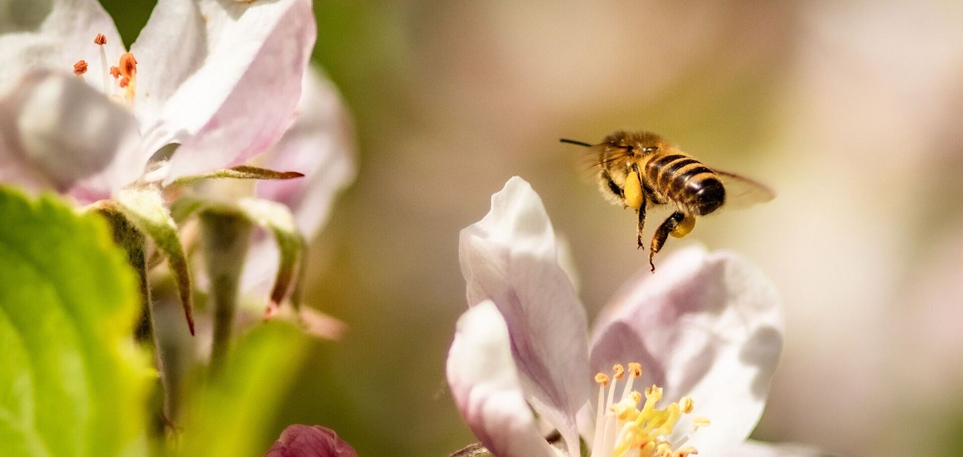 20 мая: что нельзя делать, приметы на Купальницу и именинники