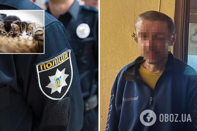 У Києві чоловік викинув із 7-го поверху кішку з 4 кошенятами: деталі й фото