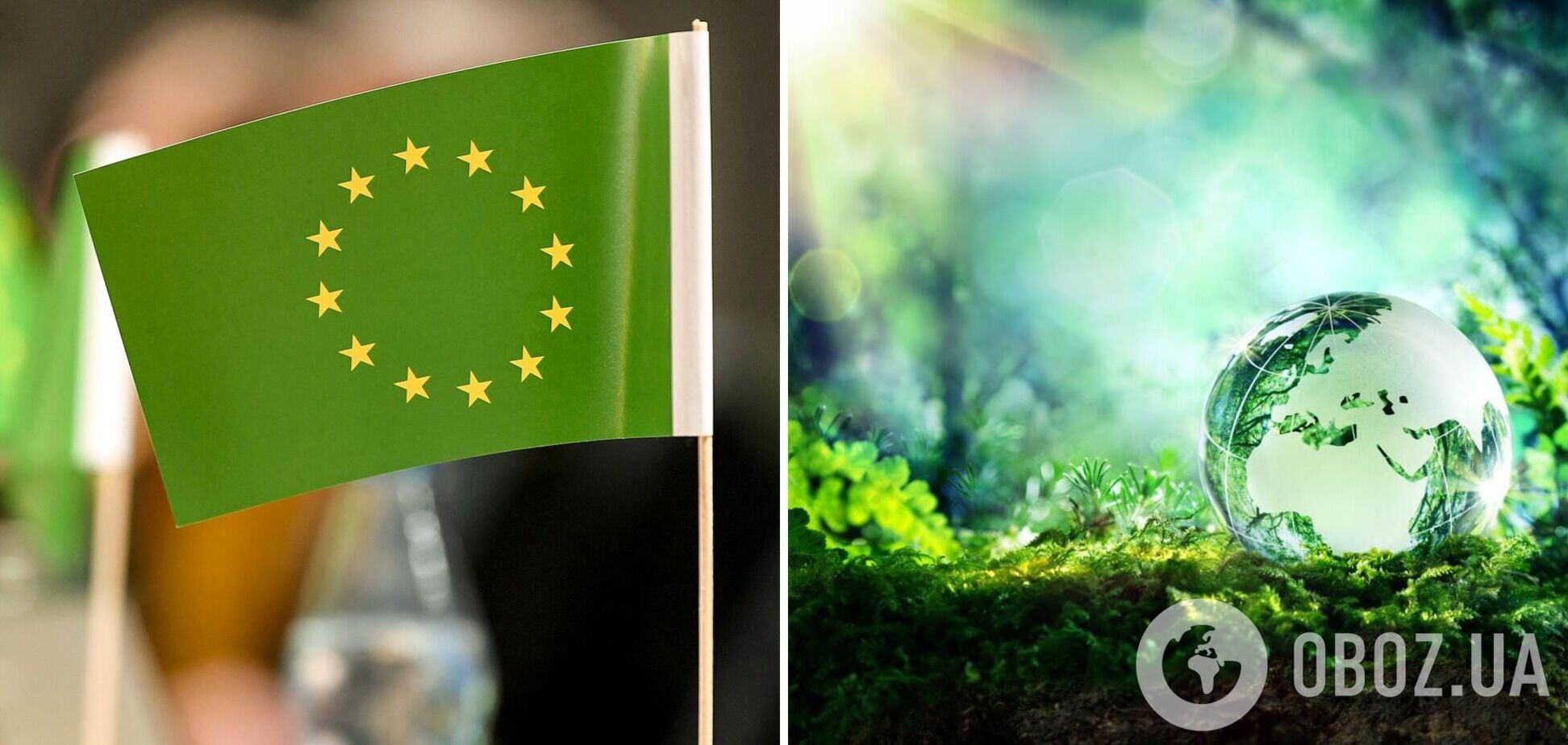 Зеленый курс Украины. Риски для экономики и что делать правительству