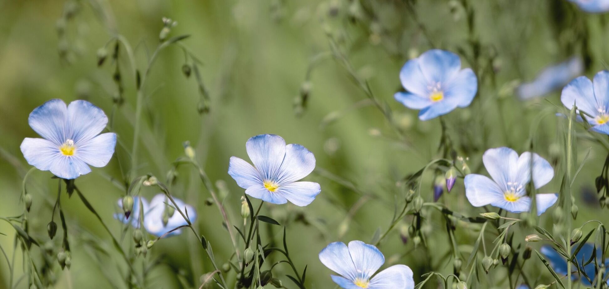 27 мая: праздник, что нельзя делать, приметы и именинники