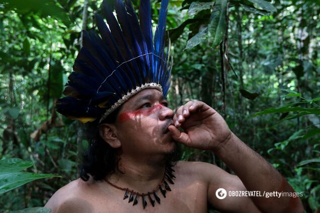 На Амазонці знайшли ключ до уповільнення старіння людини