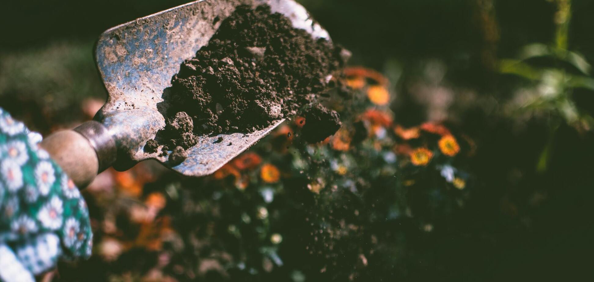 28 травня: свято, прикмети й іменинники