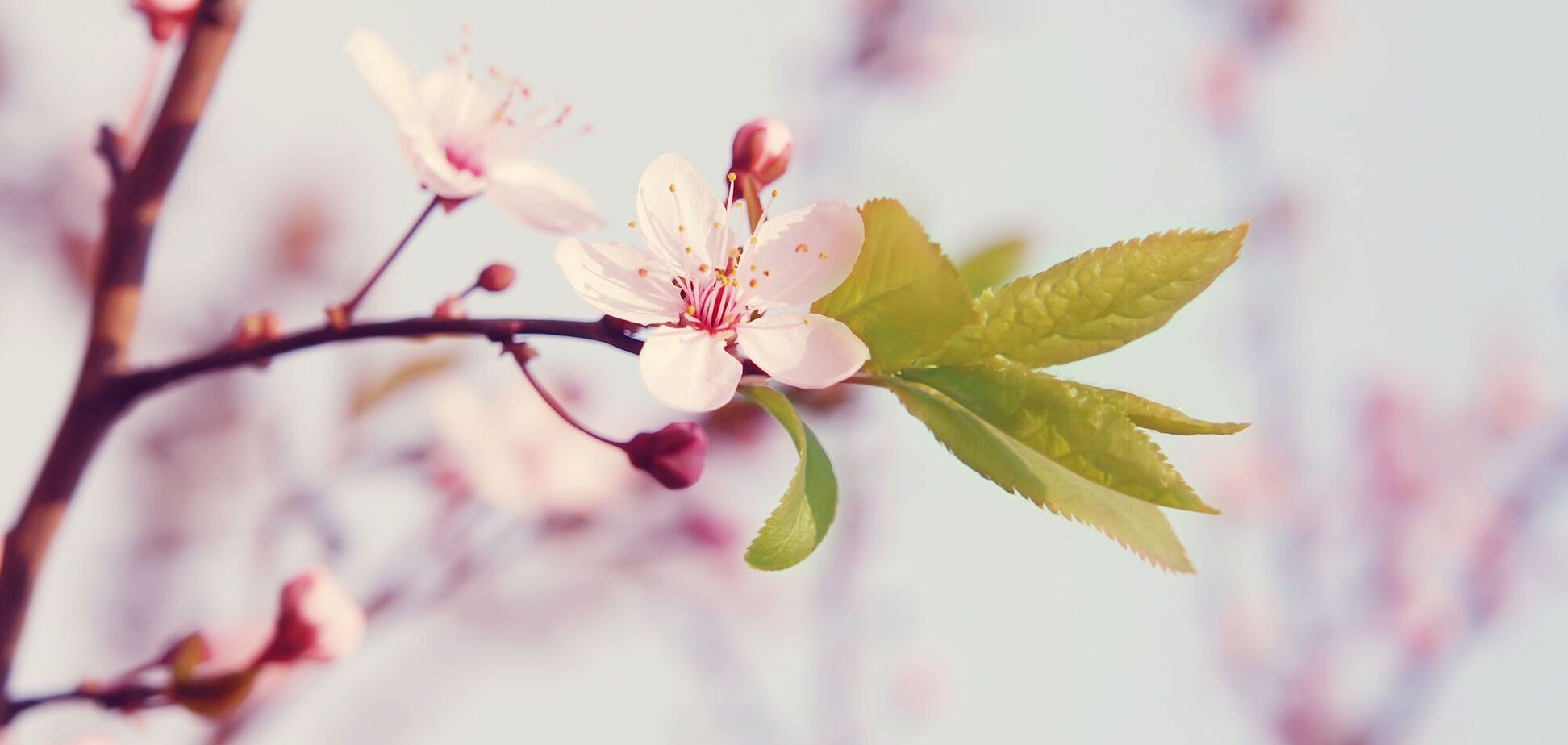 6 мая: праздники, приметы и именинники