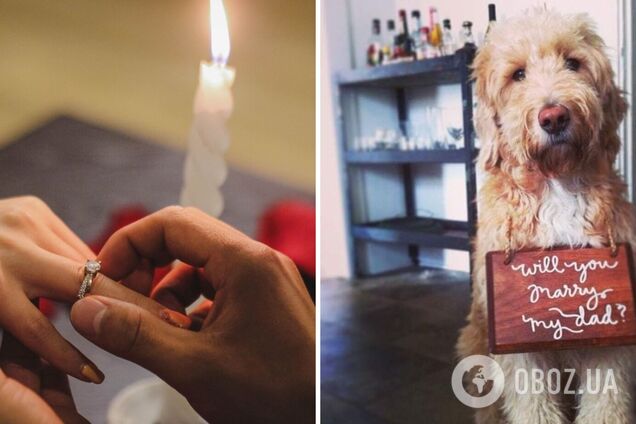 Даже домашние любимцы помогают жениться