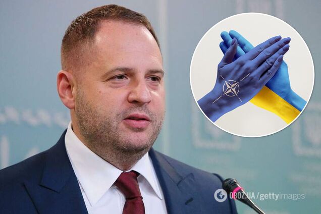 США полностью поддержали получение Украиной ПДЧ в НАТО – ОП