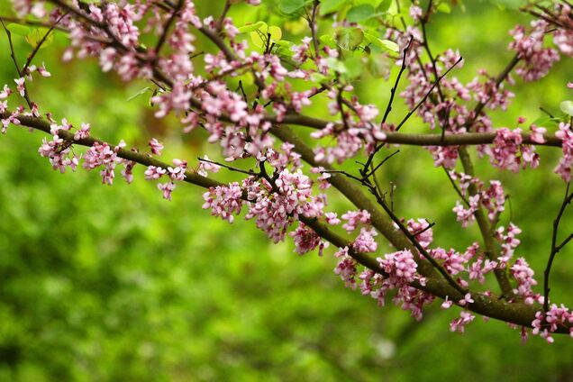 7 мая: праздники, приметы и именинники