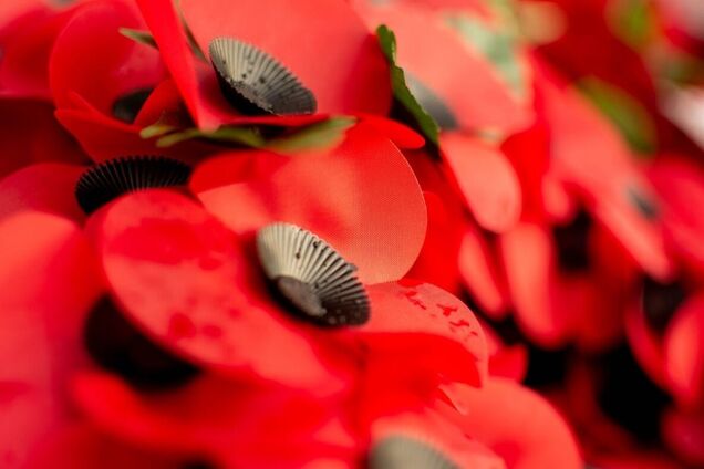 Годовщина победы над нацизмом. Ветераны Небесного Украинского фронта и их внуки против агрессии потомков Бессмертного полка