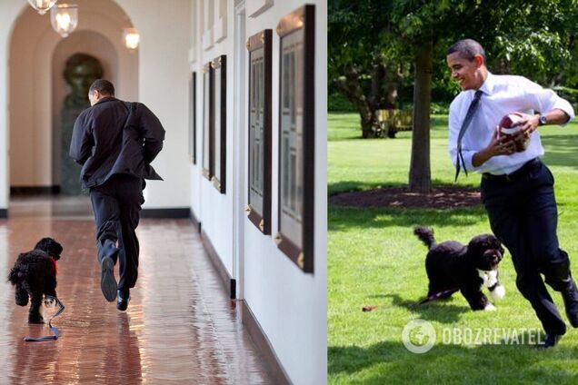 Обама розчулив мережу дописом про померлого собаку