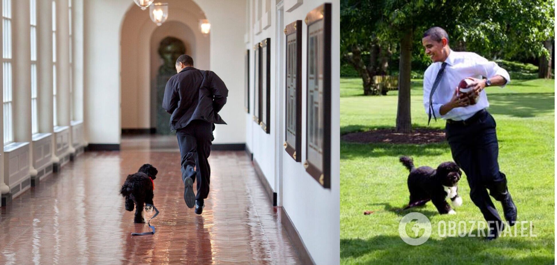 Обама растрогал сеть сообщением об умершей собаке