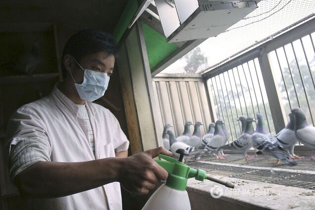 В Китае сообщили о первом в мире случае заражения новым штаммом птичьего гриппа