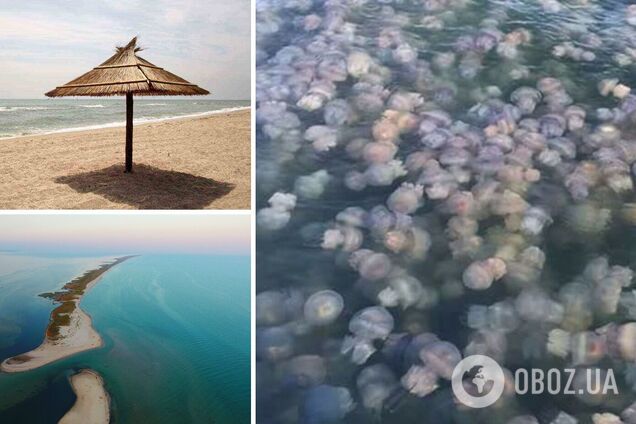 Кілька років поспіль на Чорному і Азовському морях було нашестя медуз