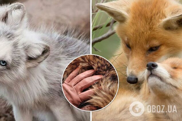 Израиль первым в мире запретил натуральный мех в модной индустрии: для кого сделали исключение