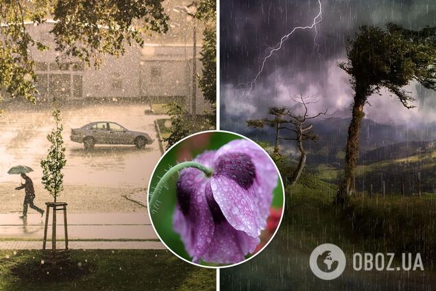 В Украину придет летнее тепло вместе с грозами: синоптики рассказали о погоде на 12 июня