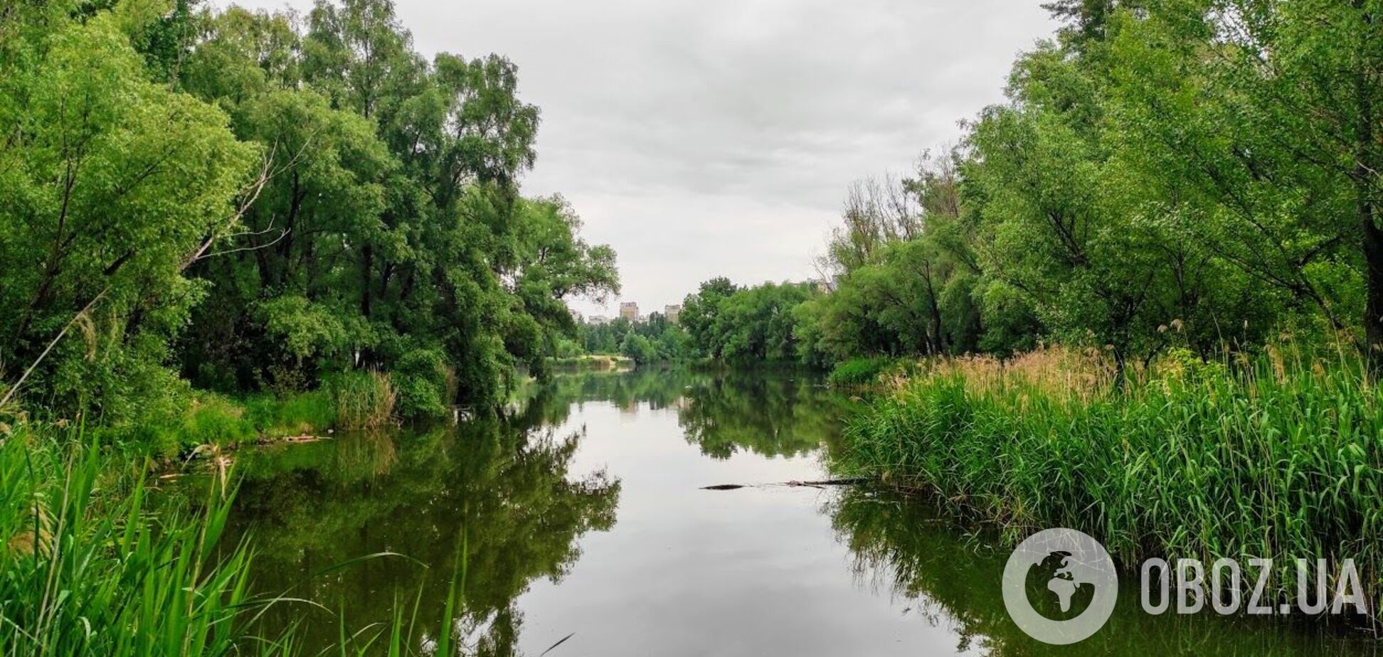 Швидкість вітру на вихідних складе 5-10 м/с
